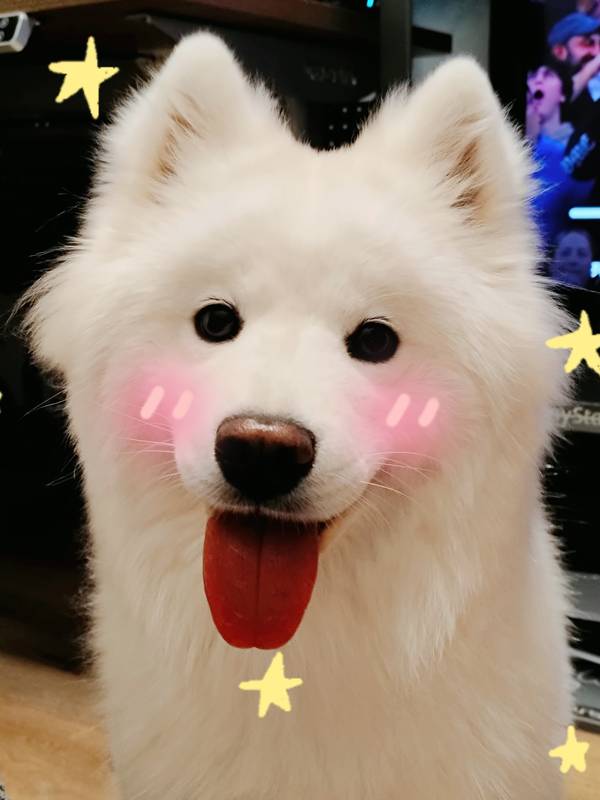 萌萌果