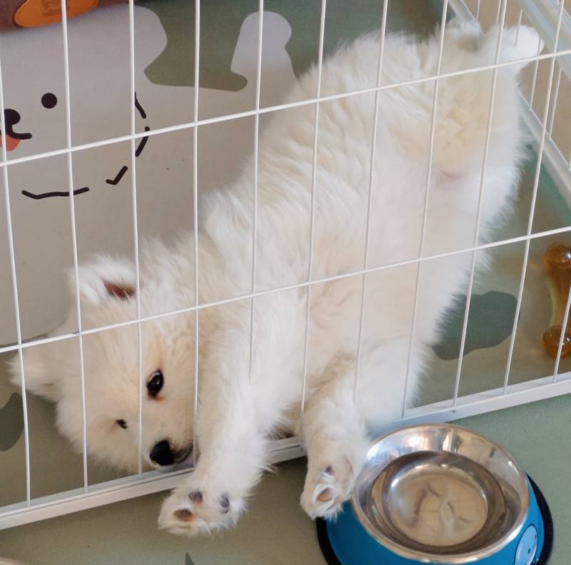 伸个懒腰！